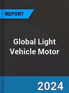 Global Light Vehicle Motor Outlook