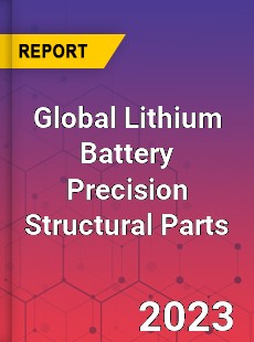 Global Lithium Battery Precision Structural Parts Industry