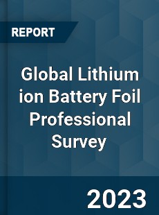 Global Lithium ion Battery Foil Professional Survey Report