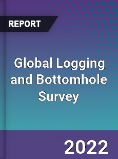 Global Logging and Bottomhole Survey Market