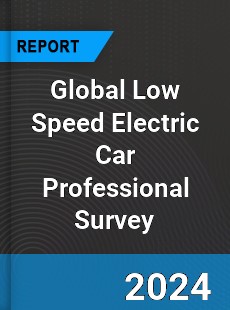 Global Low Speed Electric Car Professional Survey Report