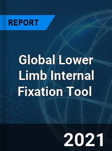 Global Lower Limb Internal Fixation Tool Market