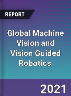 Global Machine Vision and Vision Guided Robotics Market