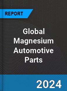 Global Magnesium Automotive Parts Market