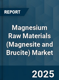 Global Magnesium Raw Materials Market