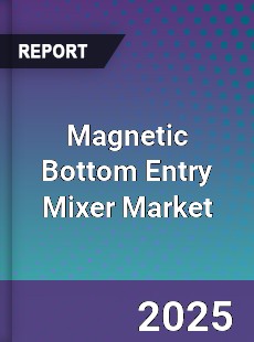 Global Magnetic Bottom Entry Mixer Industry