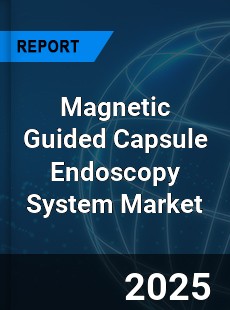 Global Magnetic Guided Capsule Endoscopy System Industry