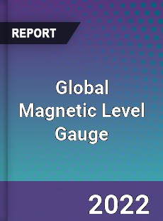 Global Magnetic Level Gauge Market