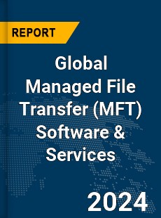 Global Managed File Transfer Software amp Services Market