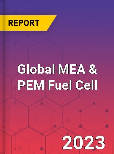 Global MEA amp PEM Fuel Cell Industry