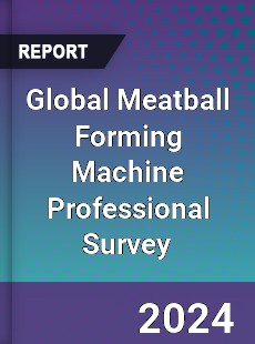 Global Meatball Forming Machine Professional Survey Report