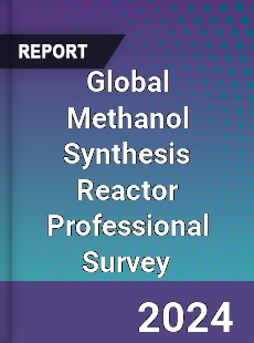 Global Methanol Synthesis Reactor Professional Survey Report
