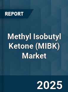 Global Methyl Isobutyl Ketone Market