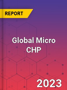 Global Micro CHP Market