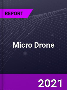 Global Micro Drone Market