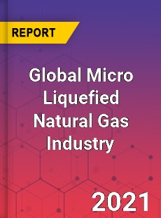 Global Micro Liquefied Natural Gas Industry