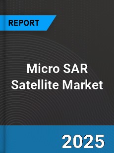 Global Micro SAR Satellite Outlook