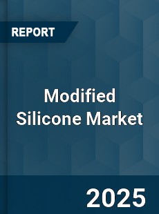 Global Modified Silicone Market