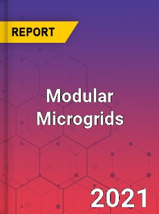 Global Modular Microgrids Professional Survey Report