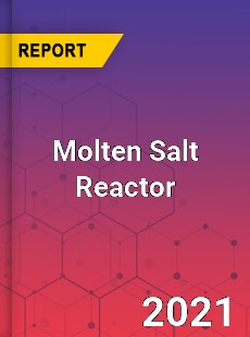 Global Molten Salt Reactor Market