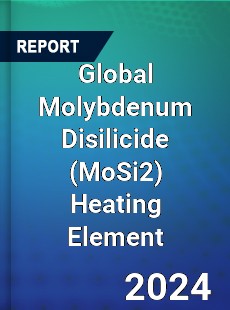 Global Molybdenum Disilicide Heating Element Market