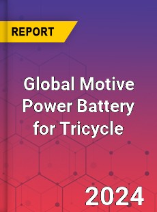 Global Motive Power Battery for Tricycle Industry