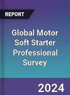 Global Motor Soft Starter Professional Survey Report