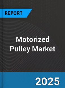Global Motorized Pulley Market