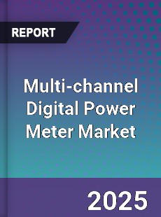 Global Multi channel Digital Power Meter Outlook