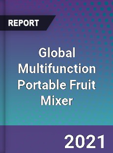 Global Multifunction Portable Fruit Mixer Market