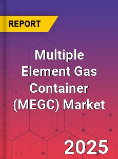 Global Multiple Element Gas Container Market