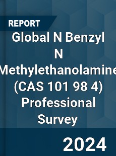 Global N Benzyl N Methylethanolamine Professional Survey Report