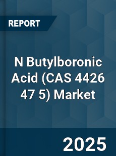 Global N Butylboronic Acid Market