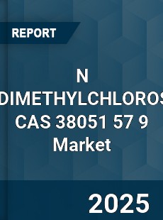 Global N DECYLDIMETHYLCHLOROSILANE CAS 38051 57 9 Industry