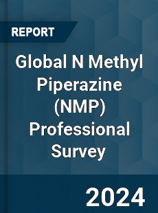 Global N Methyl Piperazine Professional Survey Report