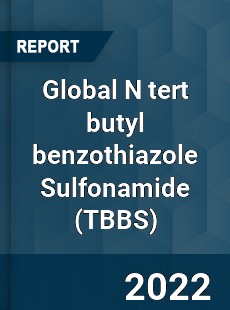 Global N tert butyl benzothiazole Sulfonamide Market