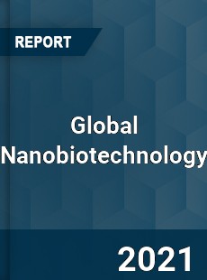 Global Nanobiotechnology Market