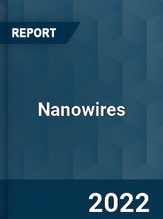 Global Nanowires Industry