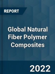 Global Natural Fiber Polymer Composites Market