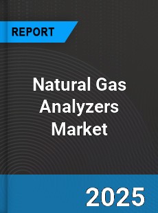 Global Natural Gas Analyzers Market