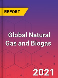 Natural Gas and Biogas Market