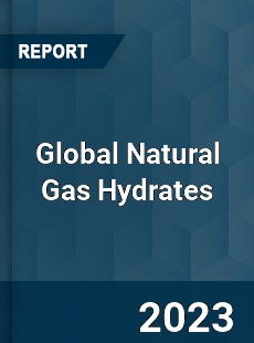Global Natural Gas Hydrates Market