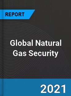 Global Natural Gas Security Market