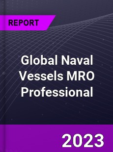 Global Naval Vessels MRO Professional Market