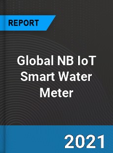 Global NB IoT Smart Water Meter Industry
