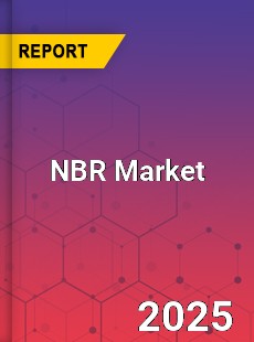 NBR Market Key Strategies Historical Analysis Trends