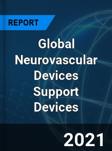 Global Neurovascular Devices Support Devices Market