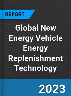 Global New Energy Vehicle Energy Replenishment Technology Industry