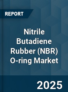 Global Nitrile Butadiene Rubber O ring Outlook