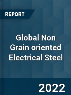 Global Non Grain oriented Electrical Steel Market